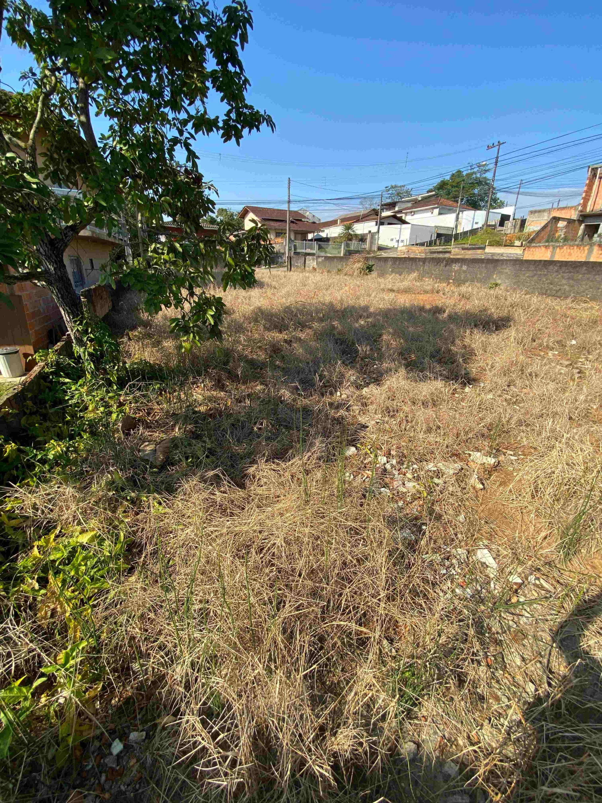 WhatsApp Image 2025-08-05 at 11.30.09 (1)-min